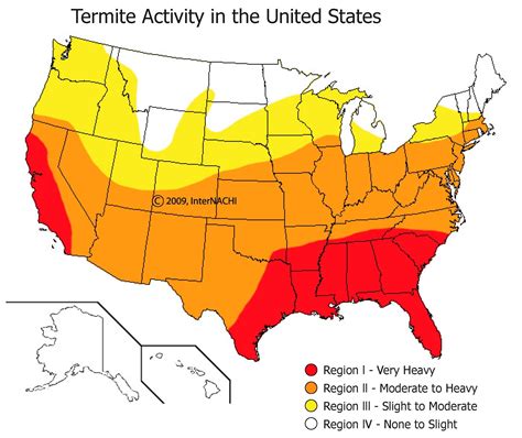 Unveiling the Silent Threat: Termite Distribution Across the USA Map