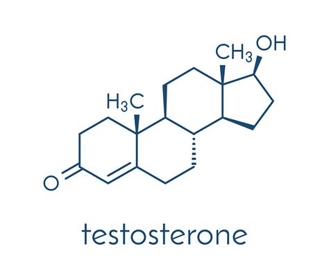 Boost Your Testosterone Naturally: A Comprehensive Guide to Optimal Health
