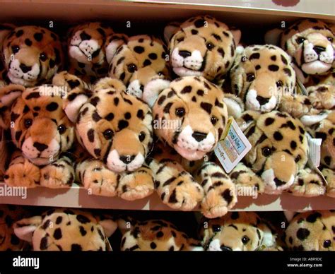 Toys R Us Plush Dolls: A Timeless Embrace of Cuddly Joy