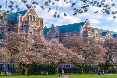 Discovering Top Universities in the USA: Your Path to Academic Excellence