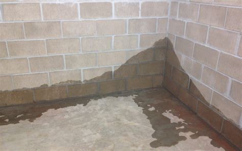 Restoring Your Sanctuary: Essential Wet Basement Repair Solutions